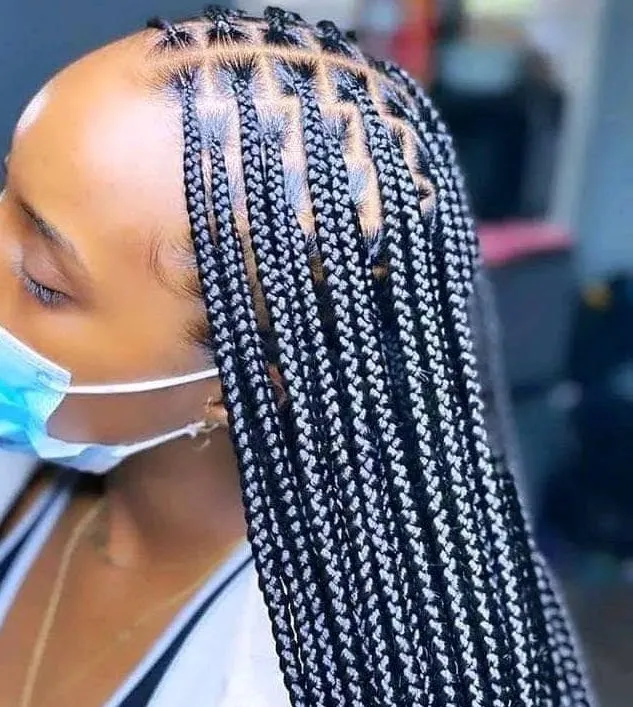 Lady's coiffure (4)